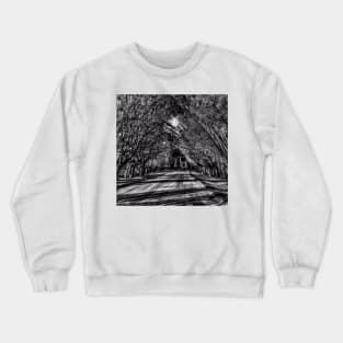 Dark Shines - Black And White Crewneck Sweatshirt